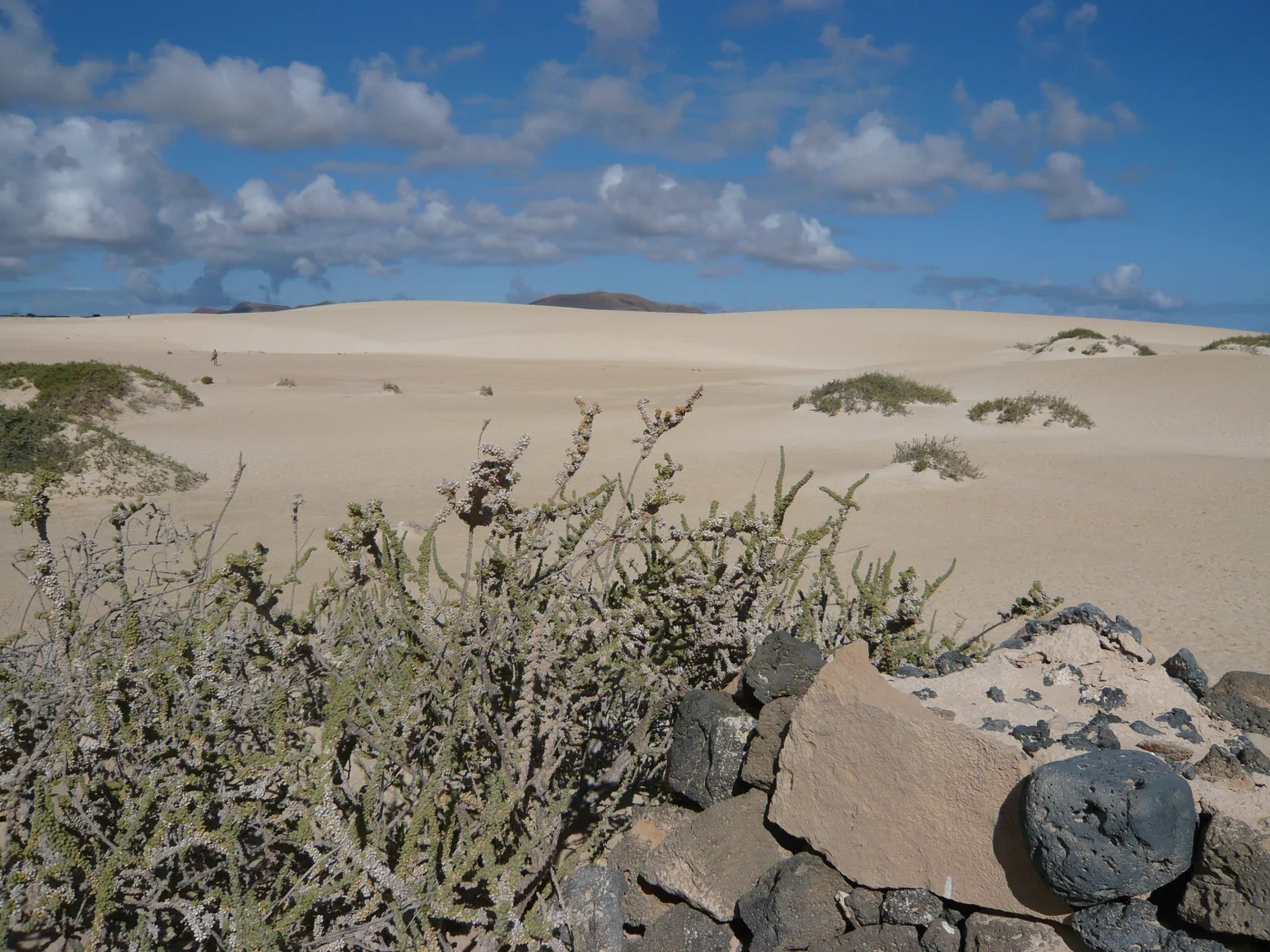 Kitesurfer launching from the shore at Flag Beach with the Atlantic behind